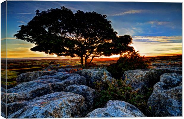 The rocky sunset Canvas Print by David McCulloch