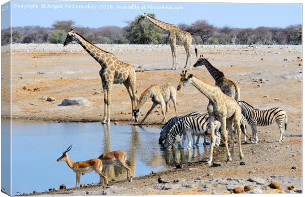 Early morning rush hour at the waterhole Canvas Print by Angus McComiskey