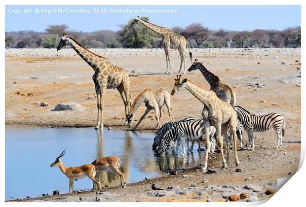 Early morning rush hour at the waterhole Print by Angus McComiskey