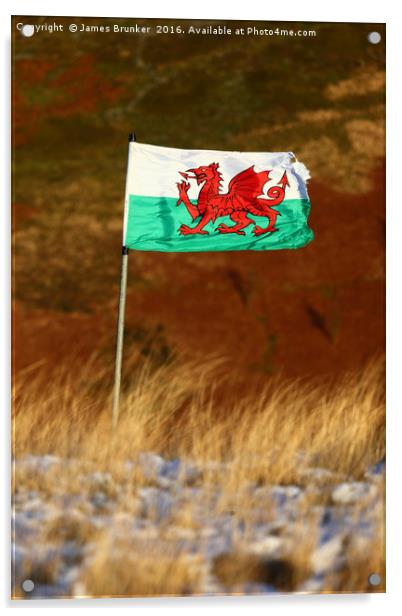Welsh Flag and Winter Hillside Acrylic by James Brunker
