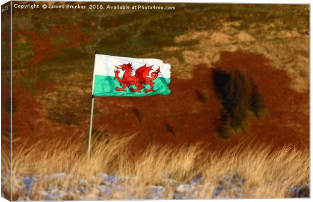 Welsh Flag and Mountain Colours Canvas Print by James Brunker