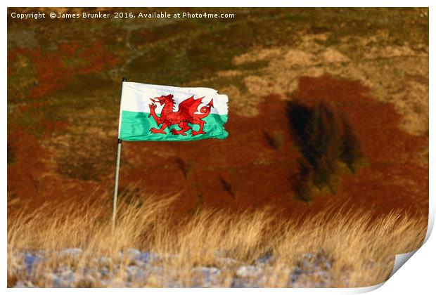 Welsh Flag and Mountain Colours Print by James Brunker