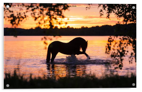 Black Horse Bathing in Sunset River  Acrylic by Russian Artist 