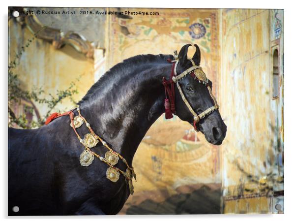 Living Piece of Art. Marwari Stallion Acrylic by Russian Artist 