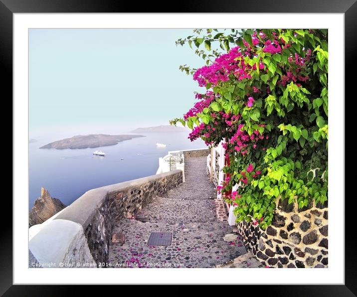 Floral Fira Framed Mounted Print by Nymm Gratton