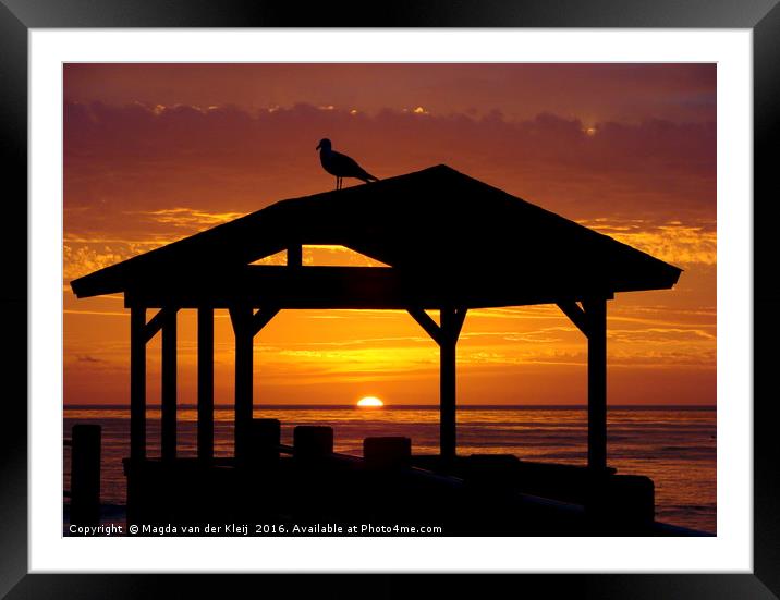 Gull watching the sunset in La Jolla Framed Mounted Print by Magda van der Kleij