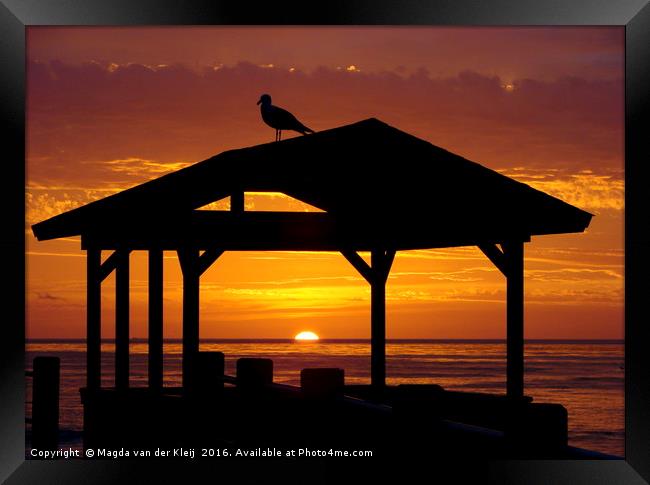 Gull watching the sunset in La Jolla Framed Print by Magda van der Kleij