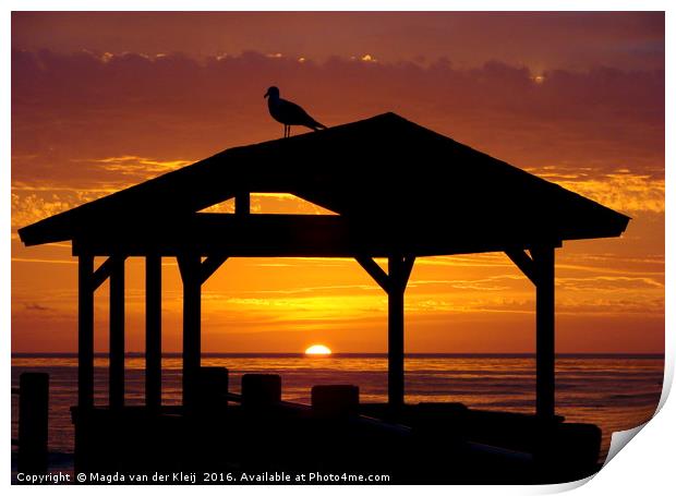 Gull watching the sunset in La Jolla Print by Magda van der Kleij