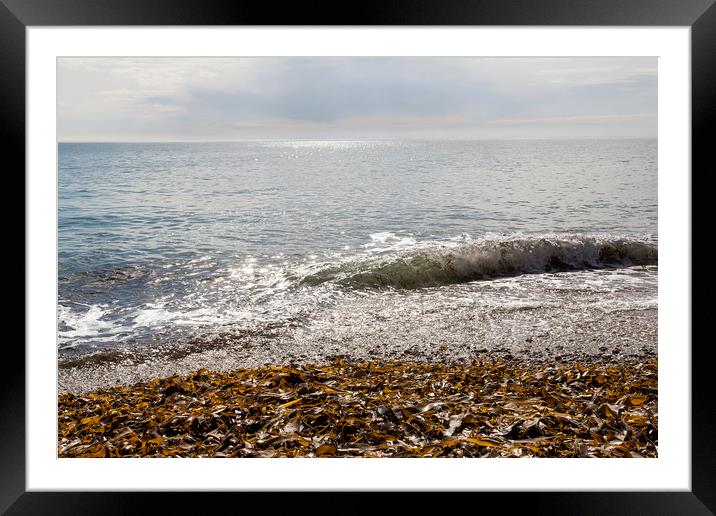 Seascape Framed Mounted Print by Jackie Davies