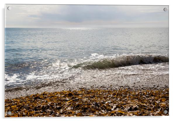 Seascape Acrylic by Jackie Davies