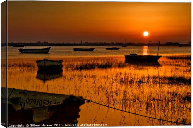 Sundown Serenity at Two-Tree Island Canvas Print by Gilbert Hurree