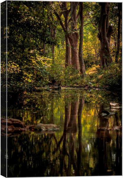 Pench Landscape Canvas Print by Indranil Bhattacharjee