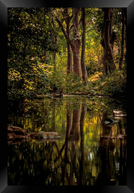 Pench Landscape Framed Print by Indranil Bhattacharjee