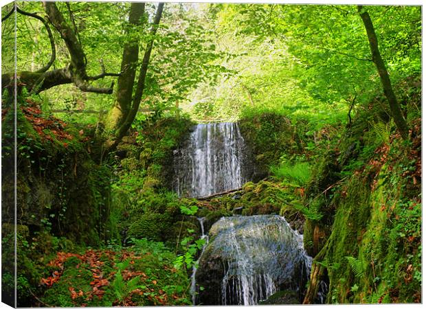 canonteign falls Canvas Print by ray orchard