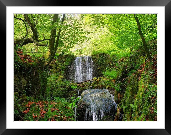 canonteign falls Framed Mounted Print by ray orchard