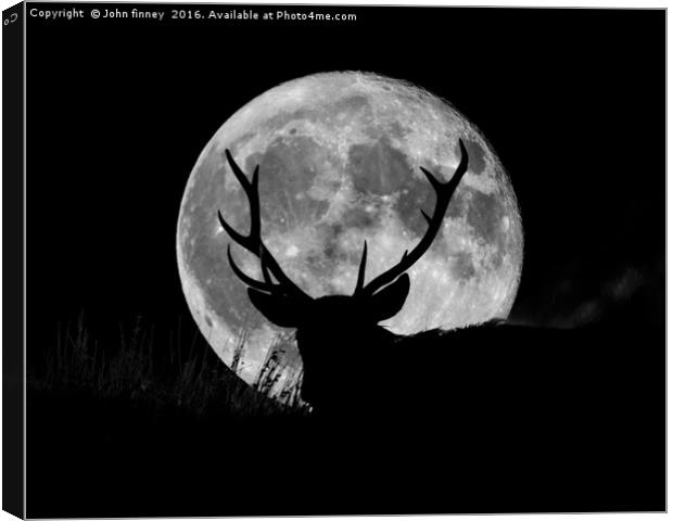 Wild Stag silhouetted with a full moon Canvas Print by John Finney