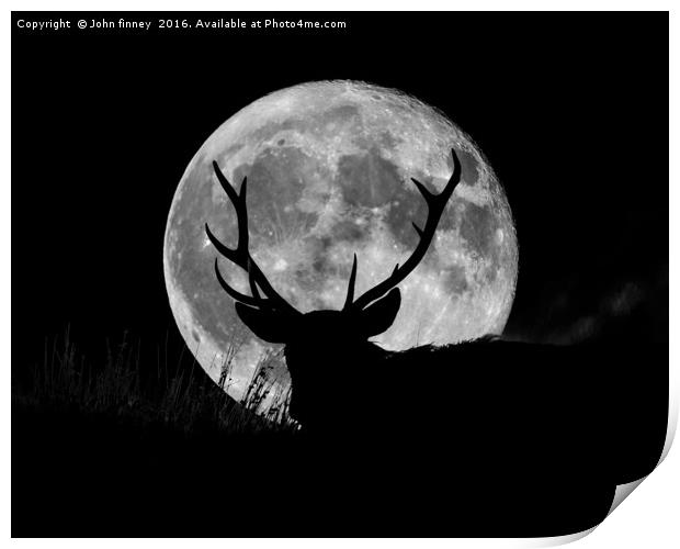 Wild Stag silhouetted with a full moon Print by John Finney
