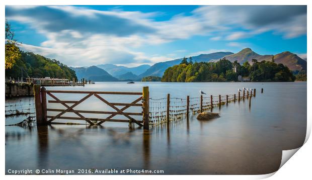 Derwent Water Fence Print by Colin Morgan