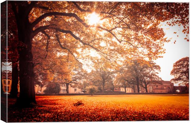 Autumn garden, Lincoln Cathedral Canvas Print by Andrew Scott