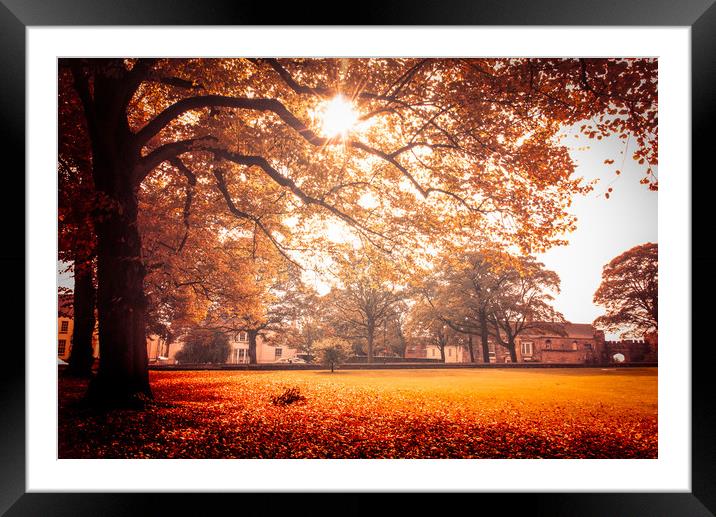 Autumn garden, Lincoln Cathedral Framed Mounted Print by Andrew Scott