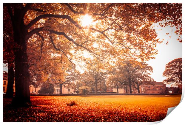 Autumn garden, Lincoln Cathedral Print by Andrew Scott