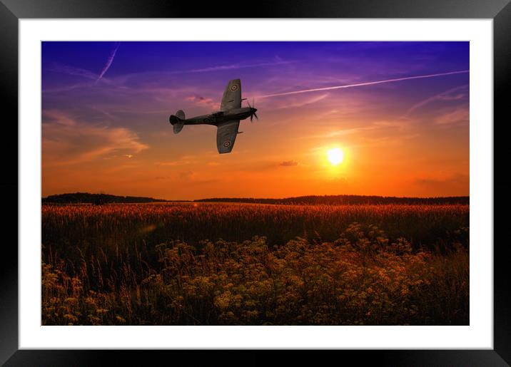 Buzzing the fields Framed Mounted Print by Stephen Ward