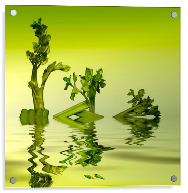 Celery Trees Acrylic by David French