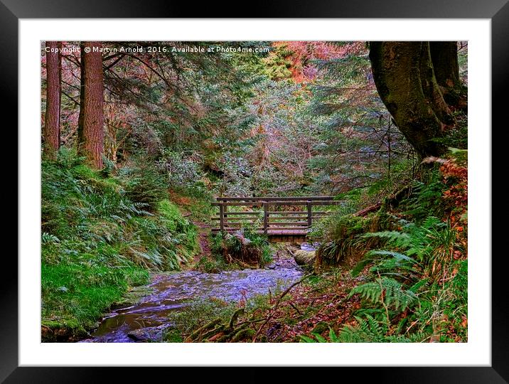 Bridge over the Woodland Stream Framed Mounted Print by Martyn Arnold