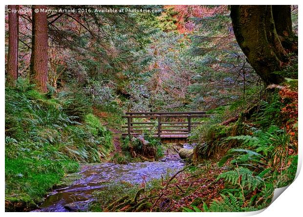 Bridge over the Woodland Stream Print by Martyn Arnold