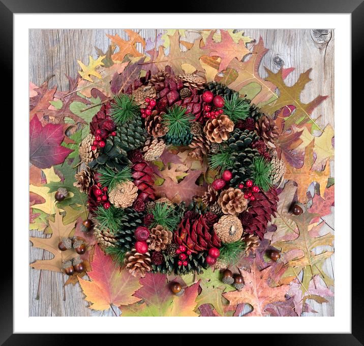 Autumn cone wreath and leaves on rustic wooden boa Framed Mounted Print by Thomas Baker