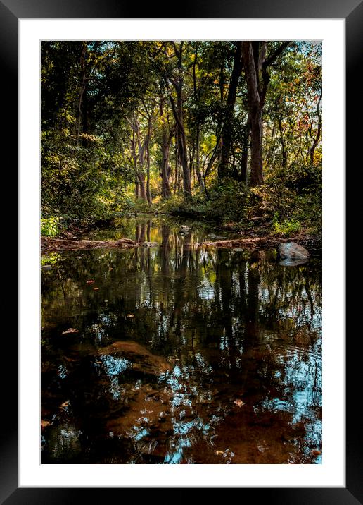 Wild India Framed Mounted Print by Indranil Bhattacharjee