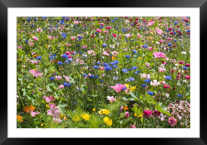 Summer Meadow Flowers Framed Mounted Print by Simon Annable