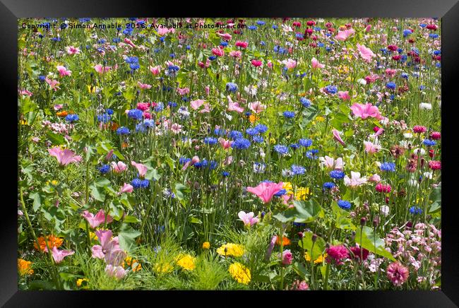 Summer Meadow Flowers Framed Print by Simon Annable