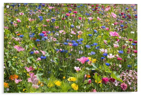 Summer Meadow Flowers Acrylic by Simon Annable