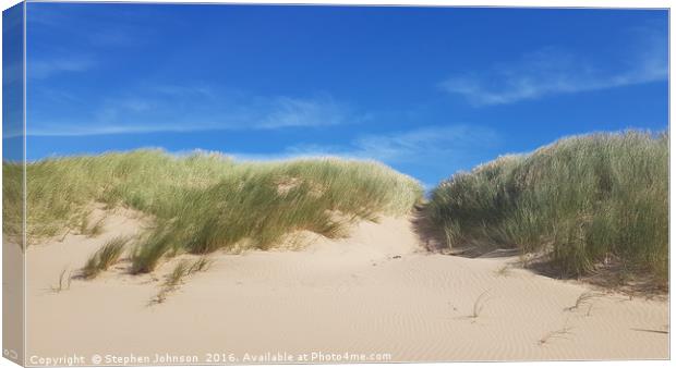 Sand Dunes  Canvas Print by Stephen Johnson