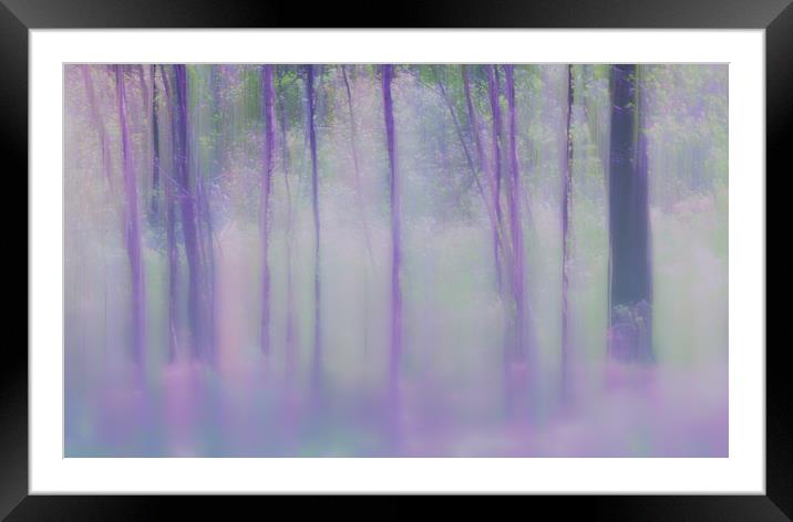 Abstract Birch trees Framed Mounted Print by Anthony Simpson
