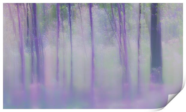 Abstract Birch trees Print by Anthony Simpson