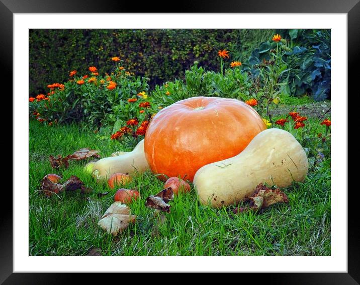 Autumn Harvest Framed Mounted Print by Peter Balfour