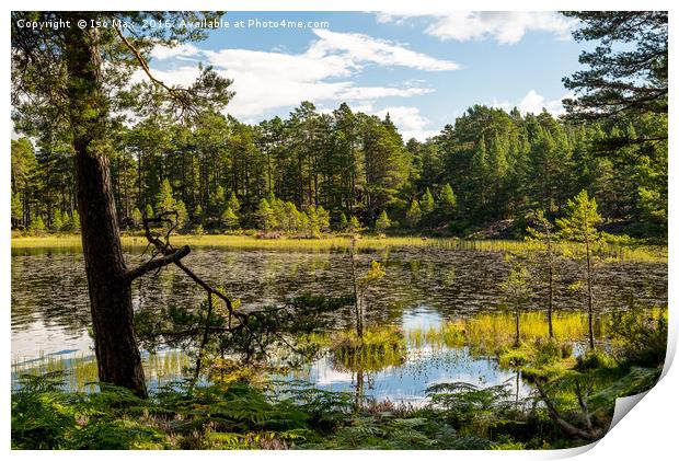 Loch En Eileen, Scotland Print by The Tog