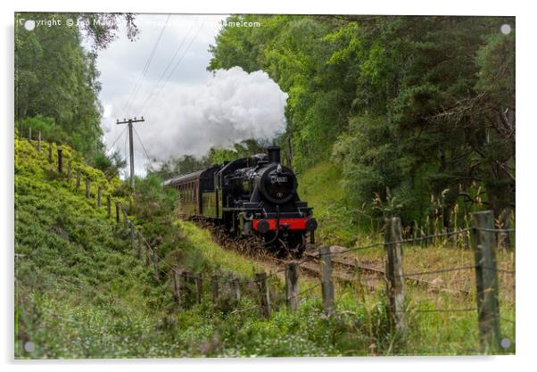 Strathspey Steam Railway, Aviemore, Scotland Acrylic by The Tog