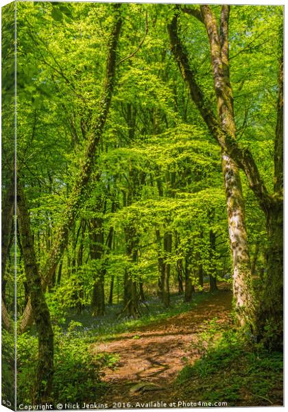 Cardiff Woodland in Spring Canvas Print by Nick Jenkins