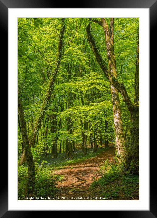 Cardiff Woodland in Spring Framed Mounted Print by Nick Jenkins