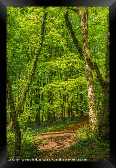 Cardiff Woodland in Spring Framed Print by Nick Jenkins