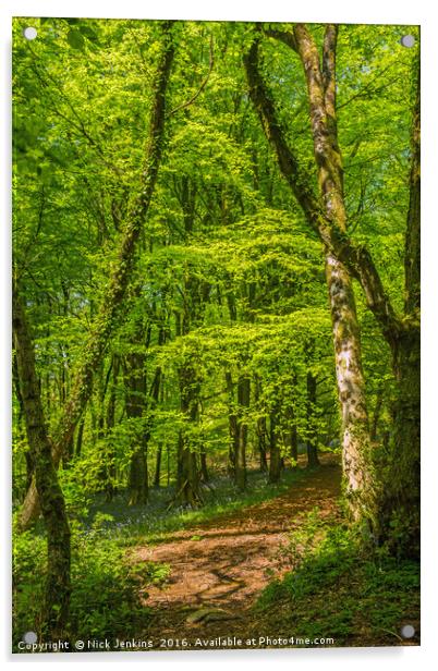 Cardiff Woodland in Spring Acrylic by Nick Jenkins