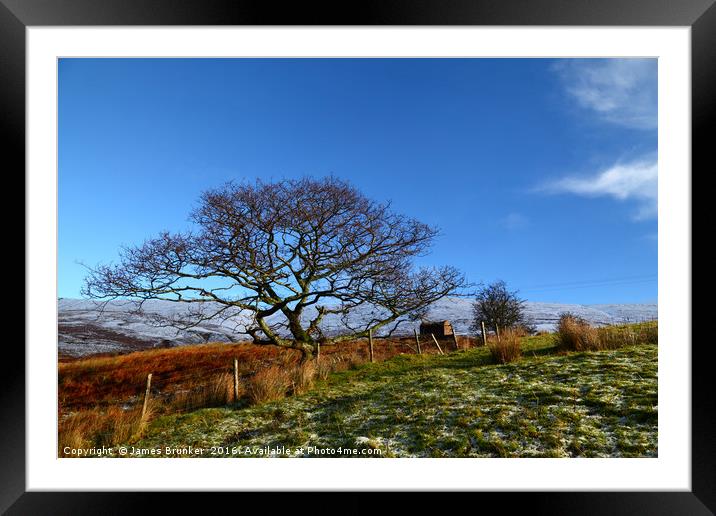 Lone Oak Tree And Welsh Countryside Framed Mounted Print by James Brunker
