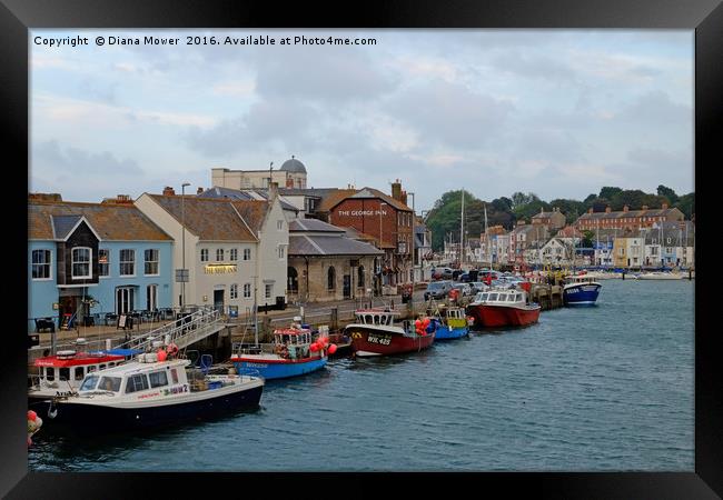 Weymouth Harbour early evening Framed Print by Diana Mower