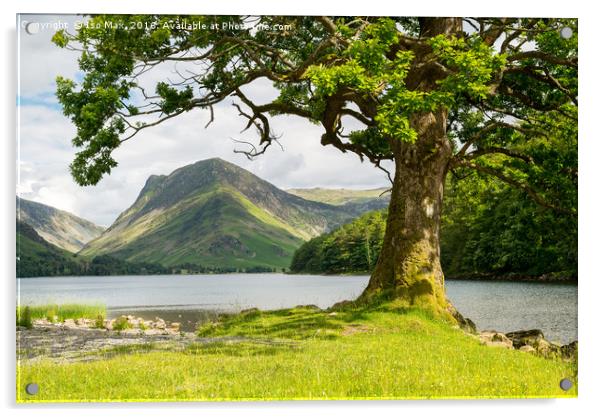 Buttermere, Lake District Acrylic by The Tog