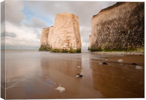 Botany Bay Cliffs Canvas Print by Clive Eariss