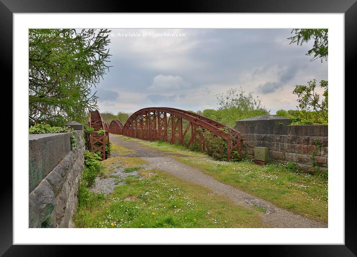 Metal bridge, Killorglin, County Kerry, Ireland Framed Mounted Print by Pauline Tims