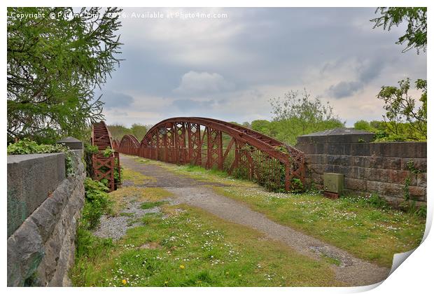 Metal bridge, Killorglin, County Kerry, Ireland Print by Pauline Tims